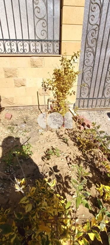 Apartment for sale in Lotus South